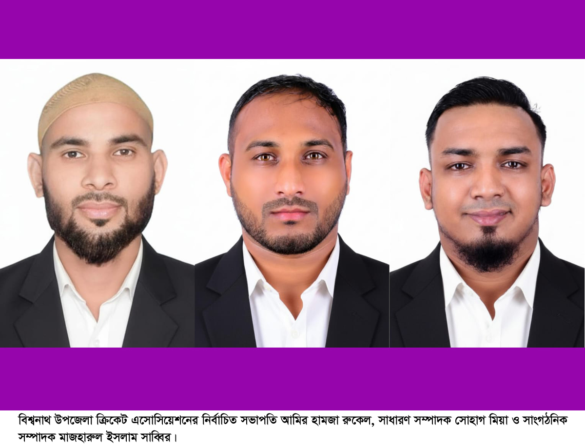 বিশ্বনাথে উপজেলা ক্রিকেট এসোসিয়েশনের নতুন কমিটি ঘোষণা