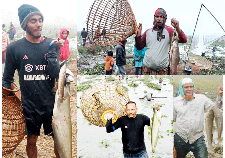 বিশ্বনাথের গোয়াহরী গ্রামে বার্ষিক পলো বাওয়া উৎসব