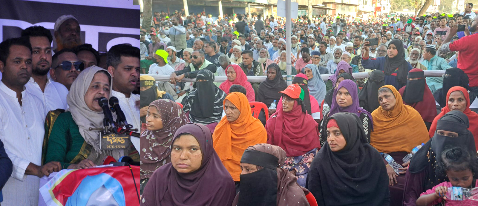 গণতন্ত্র পুনরুদ্ধারের সংগ্রামে ধানের শীষে ভোট চাইলেন লুনা